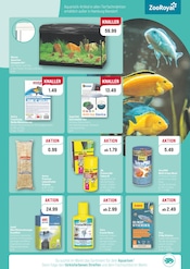 Steine im ZooRoyal Prospekt in Hamburg Aktueller ZooRoyal Prospekt mit Steine, "BLACKWEEK DEALS!", Seite 7