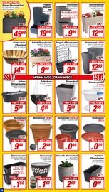 Blumenkasten im CENTERSHOP Prospekt in Hamm Aktueller CENTERSHOP Prospekt mit Blumenkasten, "Da geht was.", Seite 6