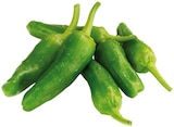 REWE Bad Karlshafen - Bratpaprika Angebot im Prospekt Bratpaprika bei REWE im Bad Karlshafen Prospekt für 0,99 €