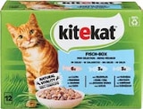 Aktuelle Katzenfutter Angebote bei Netto Marken-Discount in Dresden Aktuelles Multipack Angebot bei Netto Marken-Discount in Dresden ab 3,49 €