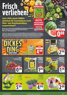 Blumen im E center Prospekt "Wir lieben Lebensmittel!" mit 30 Seiten (Würzburg)