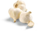 Bio Knoblauch im Angebot bei Netto Marken-Discount in Stade Bio Knoblauch Angebote von BioBio bei Netto Marken-Discount Stade für 1,29 €
