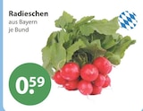 Radieschen von  im aktuellen V-Markt Prospekt für 0,59 €