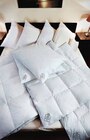 Kopfkissen Silber im Angebot bei wohnen & sparen Stelter in Gütersloh Kopfkissen Silber Angebote von ESPRIMA HOME bei wohnen & sparen Stelter Gütersloh für 24,99 €