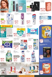 Aktueller GLOBUS Prospekt mit Hundefutter, "Aktuelle Angebote", Seite 16