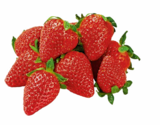Aktuelles Erdbeeren Angebot bei Netto Marken-Discount in Stuttgart ab 1,49 €