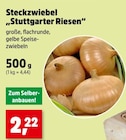 Steckzwiebel "Stuttgarter Riesen" bei Thomas Philipps im Prospekt "" für 2,22 €