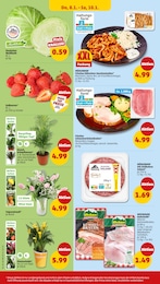 Zimmerpflanzen Angebot im aktuellen Penny Prospekt auf Seite 36