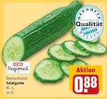Salatgurke im REWE Prospekt Salatgurke von REWE Regional im aktuellen REWE Prospekt für 0,88 €