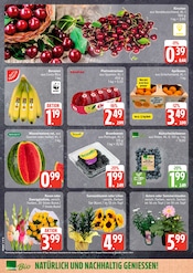 Stauden im EDEKA Prospekt in Norderstedt Aktueller EDEKA Prospekt mit Stauden, "Top Angebote", Seite 4