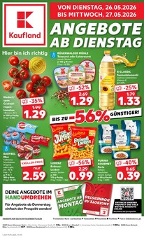 Zimmerpflanzen im aktuellen Kaufland Prospekt (Essen) Zimmerpflanzen im Kaufland Prospekt "Hier bin ich richtig" mit 69 Seiten (Essen)