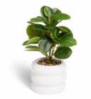 PLANTE ARTIFICIELLE en promo chez Gifi PLANTE ARTIFICIELLE dans le catalogue Gifi