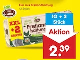 Aktuelles Eier aus Freilandhaltung Angebot bei Netto Marken-Discount in Hamm ab 2,39 €