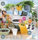 Pflanztopf GARDINO oder Verschiedene Gartenstecker im Angebot bei Trends in Remscheid Pflanztopf GARDINO oder Verschiedene Gartenstecker Angebote bei Trends Remscheid für 1,90 €