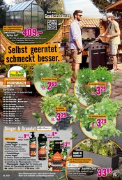 Dünger im Hornbach Prospekt in Offenbach Aktueller Hornbach Prospekt mit Dünger, "Dir ist vieles Latte. Nur nicht Dein Garten.", Seite 24