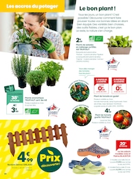 Offre Plante Aromatique dans le catalogue Truffaut du moment à la page 6