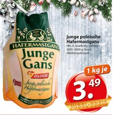 junge polnische Hafermastgans bei famila Nordost in Herford junge polnische Hafermastgans im Angebot bei famila Nordost Herford für 3,49 €