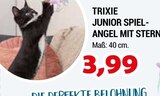 Junior Spielangel mit Stern von Trixie im aktuellen Zookauf Prospekt