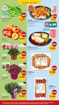Schweinebraten im aktuellen Penny Prospekt (Kassel) Schweinebraten im Penny Prospekt "Wer günstig will, muss Penny." mit 46 Seiten (Kassel)