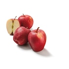 Rote Äpfel bei Lidl im Vechta Prospekt für 2,49 €