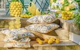 Aktuelles SERIE „Zitronen“ Angebot bei Höffner in Cottbus ab 6,00 €