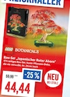 Aktuelle Lego Angebote bei Kaufhaus Stolz in Kiel Aktuelles Bau-Set "Japanischer Roter Ahorn" Angebot bei Kaufhaus Stolz in Kiel ab 44,44 €