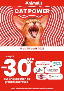Prospectus Animalis en cours, "CAT POWER", page 1 sur 1