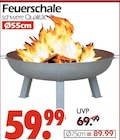 Feuerschale Angebote bei Wreesmann Zwickau für 59,99 €