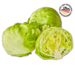 Aktuelles Deutscher Eisbergsalat Angebot bei Penny in Duisburg ab 0,69 €