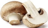 Bio Champignons braun oder weiß im Angebot bei EDEKA in Stuttgart Bio Champignons braun oder weiß Angebote von Bioland bei EDEKA Stuttgart