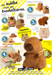 Kissen im TEDi Prospekt "TEDi - voller Ideen!" mit 30 Seiten (Osnabrück)