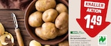 Bio Speisekartoffeln Angebote von REWE Bio bei REWE Siegen für 1,49 €