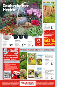 Pflanzen im Hellweg Prospekt "Ihr Projekt im Herbst!" mit 24 Seiten (Potsdam)