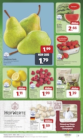 Aktueller combi Prospekt mit Champignons, "Markt - Angebote", Seite 3