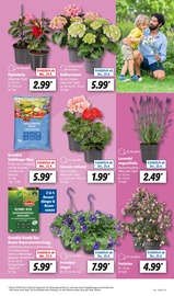Ähnliche Angebote wie Rasendünger im Prospekt "LIDL LOHNT SICH" auf Seite 5 von Lidl in Cuxhaven