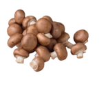 Bio-Champignons braun Angebote von Naturland bei tegut Nürnberg für 1,99 €