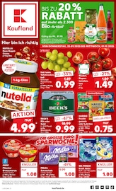 Aktueller Kaufland Schwerin Prospekt "Hier bin ich richtig" mit 60 Seiten