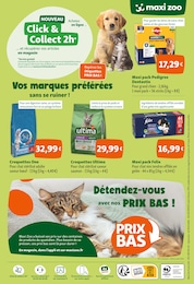 Offre Dentastix dans le catalogue Maxi Zoo du moment à la page 6