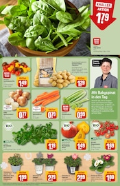 Aktueller REWE Prospekt mit Pflanzen, "Dein Markt", Seite 7