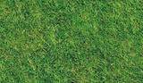 Mähroboter GOAT G800 RTK im Angebot bei Globus-Baumarkt in Esslingen Mähroboter GOAT G800 RTK Angebote von Ecovacs Robotics bei Globus-Baumarkt Esslingen für 629,00 €