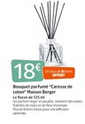 Bouquet parfumé “Caresse de coton” Maison Berger  dans le catalogue Jardiland