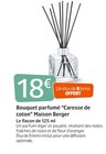 Bouquet parfumé “Caresse de coton” Maison Berger en promo chez Jardiland Bouquet parfumé “Caresse de coton” Maison Berger dans le catalogue Jardiland