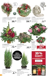 Dehner Garten-Center Kerzen im Prospekt Dehner Garten-Center Kerzen im Prospekt