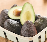Intermarché Bollène - Promo Avocat affiné Promo Avocat affiné à 1,50 € dans le catalogue Intermarché à Bollène
