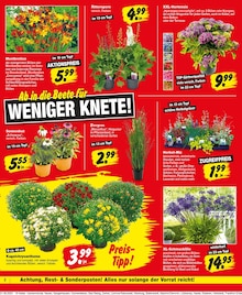 Repo Prospekt der Woche "Aktuelle Angebote" Seite 2, 23.06.2025 bis 28.06.2025 für Ueckermünde Aktueller Repo Prospekt "Aktuelle Angebote" Seite 2 von 16 Seiten für Ueckermünde
