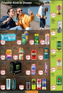 Coca Cola im GLOBUS Prospekt "Aktuelle Angebote" mit 35 Seiten (Weißenfels)