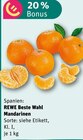 REWE Alfeld (Leine) Prospekt mit  im Angebot für 