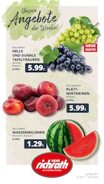 REWE Prospekt "Dein Markt", 23 Seiten, 06.07.2026 - 06.07.2026 Aktueller REWE Prospekt, "Dein Markt", mit Angeboten der Woche, gültig von 06.07.2026 bis 06.07.2026