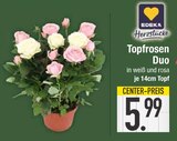 Topfrosen Duo im EDEKA Prospekt Topfrosen Duo von EDEKA Herzstücke im aktuellen EDEKA Prospekt für 5,99 €