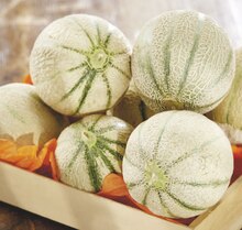 Intermarché Arcueil - Melon charentais jaune Promo Melon charentais jaune dans le catalogue Intermarché "La rentrée promotion 2019" à Arcueil